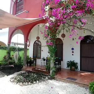 Casita Rustica En La Selva Hotel